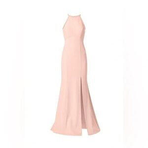 Amsale Blush Backless Maxi Dress